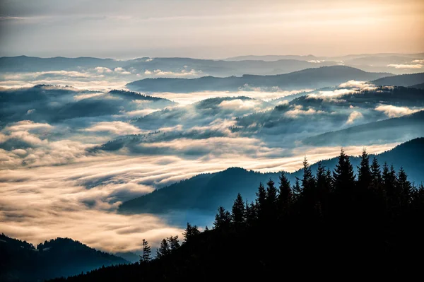 Rarau dağlarında gün doğumu, Doğu Karpatlar, Romanya.