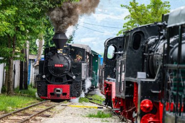 Viseu de Sus, Maramures, Romanya - 13 Haziran 2022: Buhar treni Mocanita.