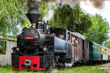 Viseu de Sus, Maramures, Romanya - 13 Haziran 2022: Buhar treni Mocanita.