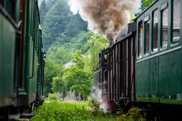Viseu Sus Maramures Romania Червня 2022 Steam Train Mocanita — стокове фото