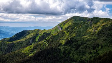 Mt. Cearcanul, Maramures Dağları Doğal Parkı, Karpatlar, Romanya.