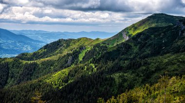 Mt. Cearcanul, Maramures Dağları Doğal Parkı, Karpatlar, Romanya.