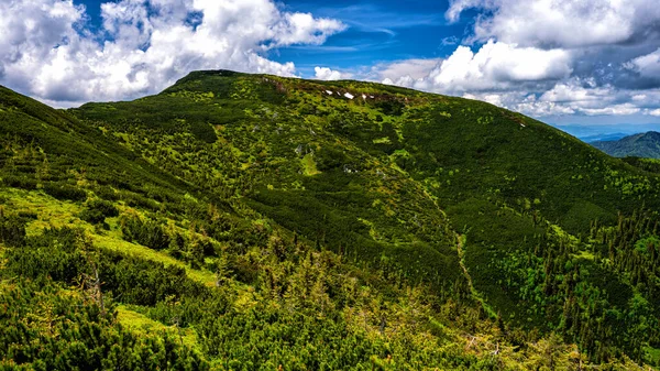 Cearcanul Přírodní Park Maramures Mountains Karpaty Rumunsko — Stock fotografie