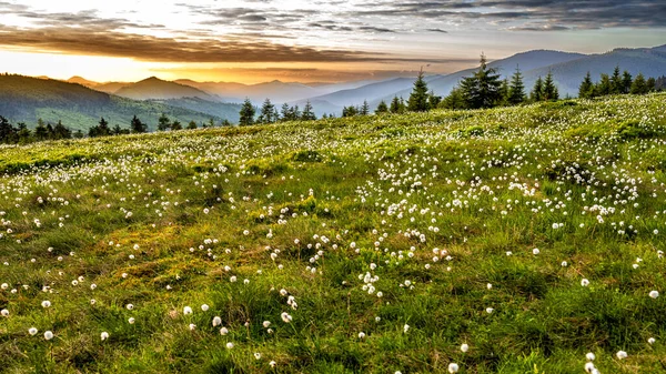 Východ Slunce Prislop Pass Přírodní Park Maramures Mountains Karpaty Rumunsko — Stock fotografie