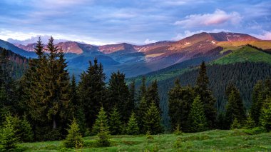 Rodna (Rodnei) dağlarının yaz manzarası, Karpatlar, Romanya.