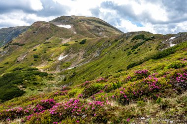 Rodna (Rodnei) dağlarının yaz manzarası, Karpatlar, Romanya.