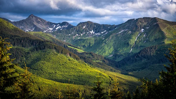 Paysage Estival Rodna Rodnei Montagnes Carpates Roumanie — Photo