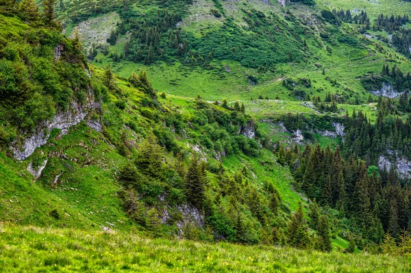Krajobraz Górski Rodna Rodnei Karpaty Rumunia — Zdjęcie stockowe