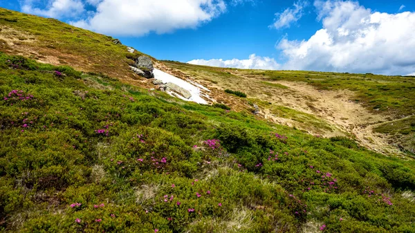 Paisaje Verano Rodna Rodnei Montañas Cárpatos Rumania — Foto de Stock