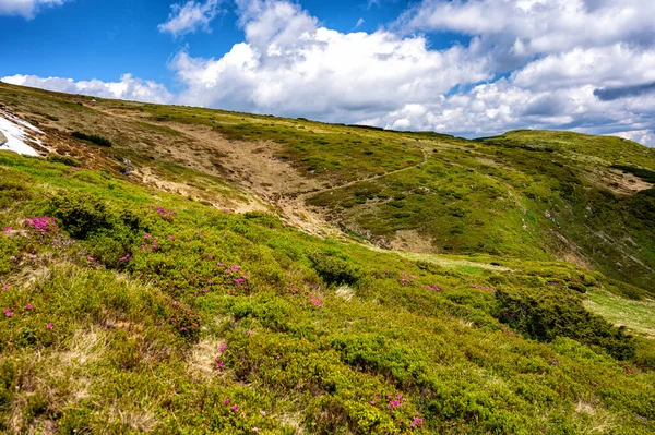 Paisaje Verano Rodna Rodnei Montañas Cárpatos Rumania — Foto de Stock