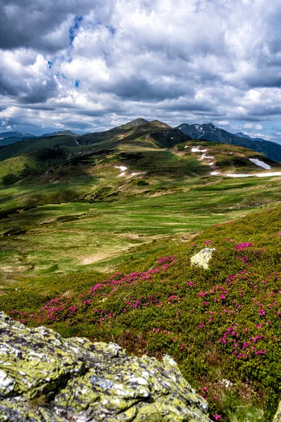 Paesaggio Estivo Delle Montagne Rodna Rodnei Carpazi Romania — Foto Stock