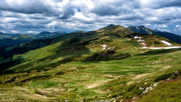 Sommerlandschaft Rodna Rodnei Berge Karpaten Rumänien — Stockfoto