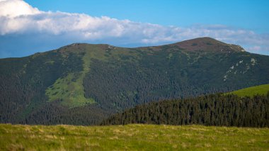 Omului Dağı, Suhard Dağları, Karpatlar, Romanya.
