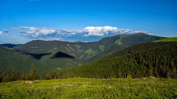 Góra Omului Suhard Mountains Karpaty Rumunia — Zdjęcie stockowe