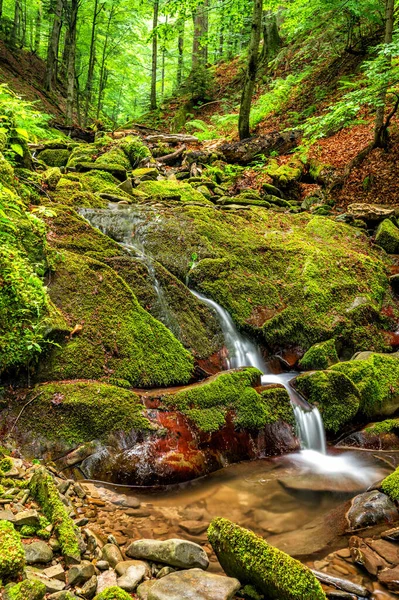 Flusso Forestale Montagna Parco Nazionale Bieszczady Carpazi Polonia — Foto Stock