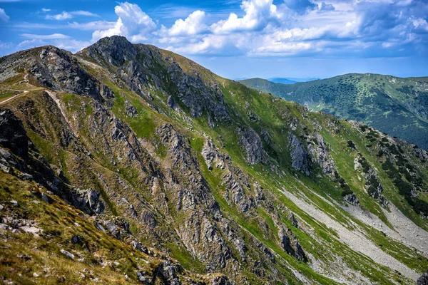 Nationalpark Niedere Tatra Karpaten Slowakei Sommerliche Berglandschaft — Stockfoto