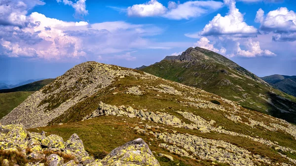 Dumbier Nationalpark Niedere Tatra Karpaten Slowakei Sommerliche Berglandschaft — Stockfoto