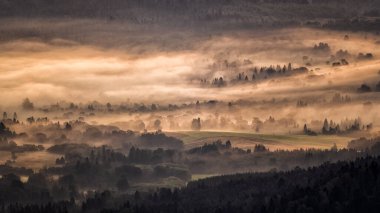 Morning landscape of the San River valley on the border between Poland and Ukraine.
