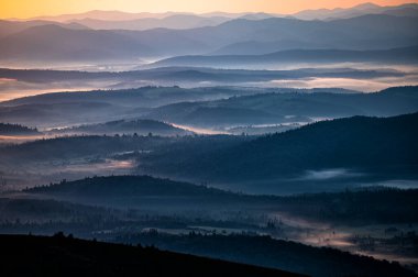 Morning landscape of the San River valley on the border between Poland and Ukraine.