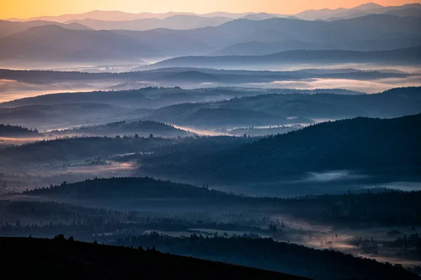 Утренний Пейзаж Долины Реки Сан Границе Польши Украины — стоковое фото