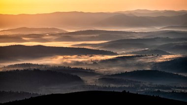 Morning landscape of the San River valley on the border between Poland and Ukraine.