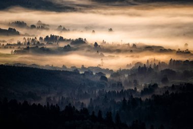 Morning landscape of the San River valley on the border between Poland and Ukraine.