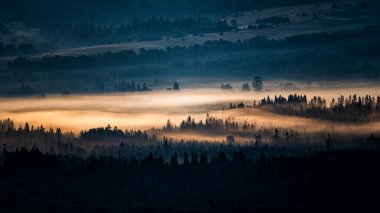 Morning landscape of the San River valley on the border between Poland and Ukraine.