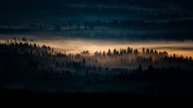 Morning landscape of the San River valley on the border between Poland and Ukraine.