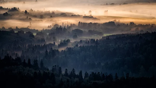Утренний Пейзаж Долины Реки Сан Границе Польши Украины — стоковое фото