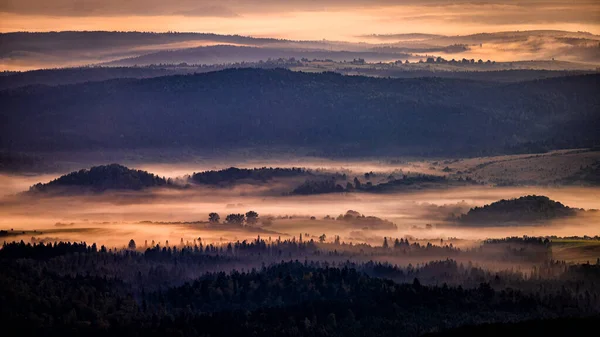 Morning Landscape San River Valley Border Poland Ukraine — Stock Photo, Image