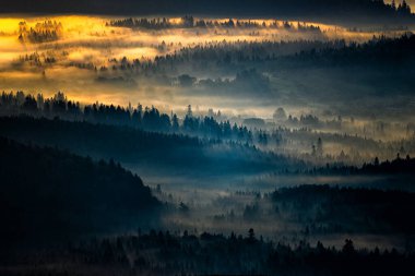 Morning landscape of the San River valley on the border between Poland and Ukraine.
