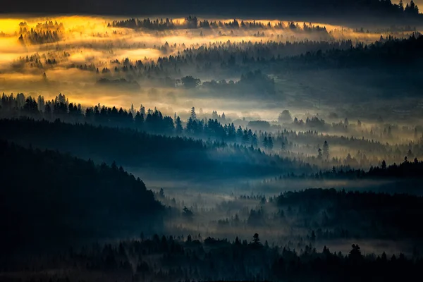 Morning Landscape San River Valley Border Poland Ukraine — 스톡 사진