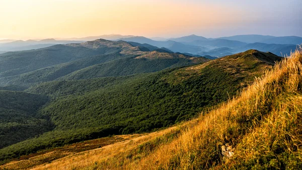 Bukowska Mountain Meadow Bieszczady National Park Poland — Photo