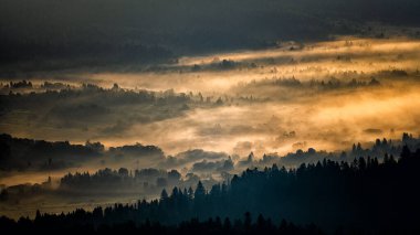 Morning landscape of the San River valley on the border between Poland and Ukraine.