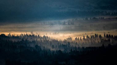Morning landscape of the San River valley on the border between Poland and Ukraine.