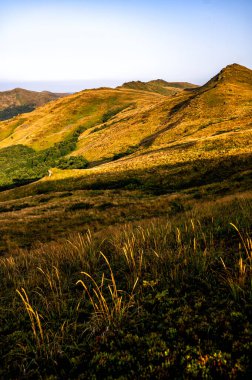 The highest part of the Bieszczady Mountains in Poland in the late summer morning.