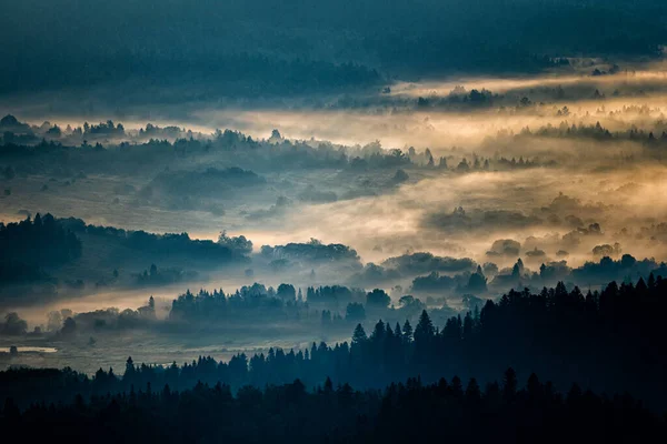 Morning Landscape San River Valley Border Poland Ukraine — Fotografia de Stock