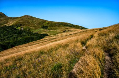 The highest part of the Bieszczady Mountains in Poland in the late summer morning.