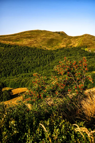 The highest part of the Bieszczady Mountains in Poland in the late summer morning.