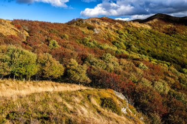 Dağlardaki sonbahar renklerinin paleti. Bukowe Berdo, Bieszczady Ulusal Parkı, Karpatlar, Polonya.