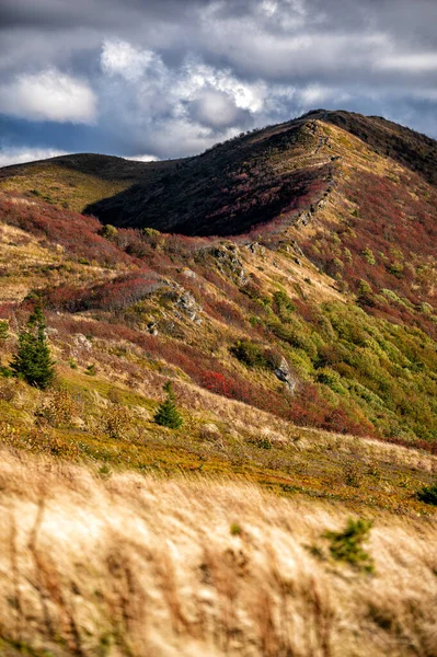 Palette Couleurs Automnales Dans Les Montagnes Bukowe Berdo Parc National — Photo