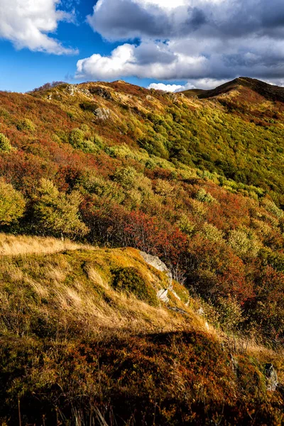 Paleta Jesiennych Kolorów Górach Bukowe Berdo Bieszczadski Park Narodowy Karpaty — Zdjęcie stockowe