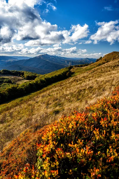 Paleta Jesiennych Kolorów Górach Bukowe Berdo Bieszczadski Park Narodowy Karpaty — Zdjęcie stockowe