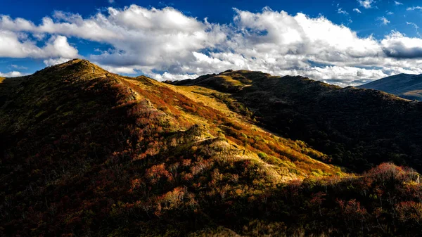 Palette Autumn Colors Mountains Bukowe Berdo Bieszczady National Park Carpathians — Stock Photo, Image