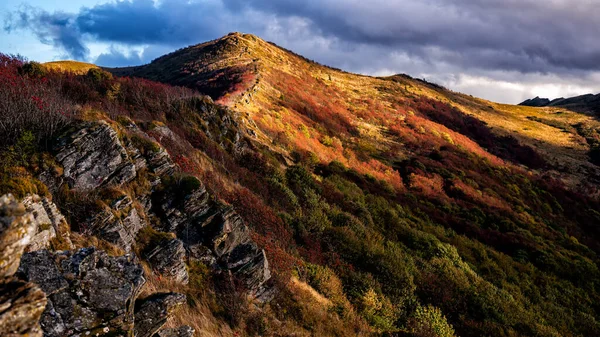 Paleta Podzimních Barev Horách Bukowe Berdo Národní Park Bieszczady Karpaty — Stock fotografie