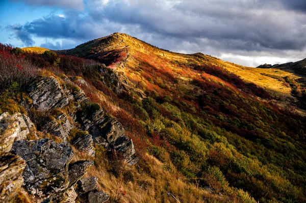 Paleta Podzimních Barev Horách Bukowe Berdo Národní Park Bieszczady Karpaty — Stock fotografie