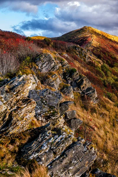 Het Palet Van Herfstkleuren Bergen Bukowe Berdo Nationaal Park Bieszczady — Stockfoto