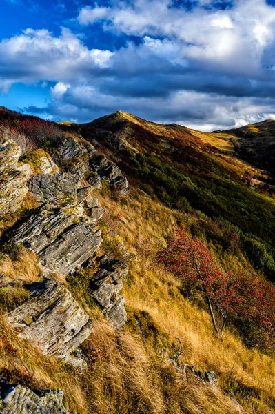 산에는 가을의 색깔로 장식되어 Bukowe Berdo Bieszczady National Park Carpathians — 스톡 사진