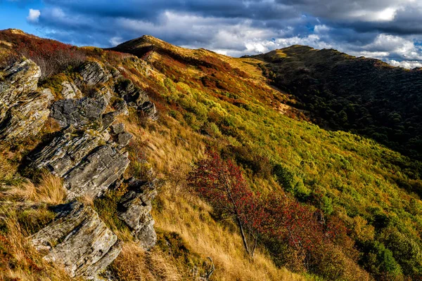 Палітра Осінніх Кольорів Горах Bukowe Berdo Bieszczady National Park Carpathians — стокове фото