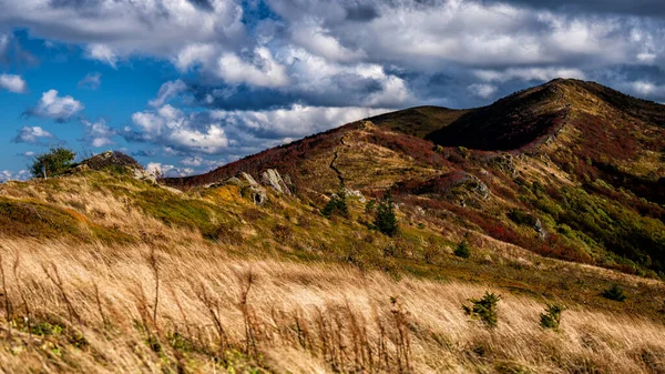 山の中の秋の色のパレット ブコウ ベルド Bieszzczady国立公園 カルパティア ポーランド ストック画像